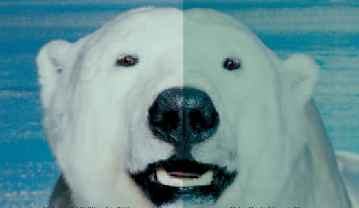 腾博会官网 - 诚信为本,专业效劳!